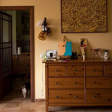 Apartment Acogedora Vivienda En Santa Maria Santa Maria del Cami (Mallorca)